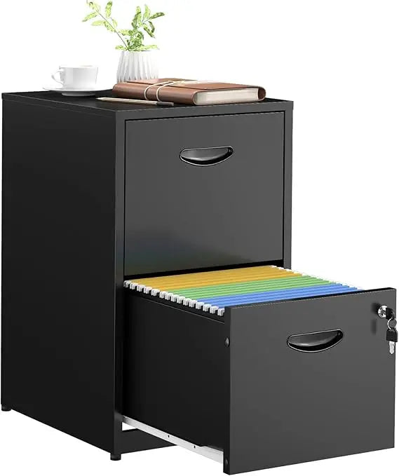 2 Drawer File Cabinet with Lock